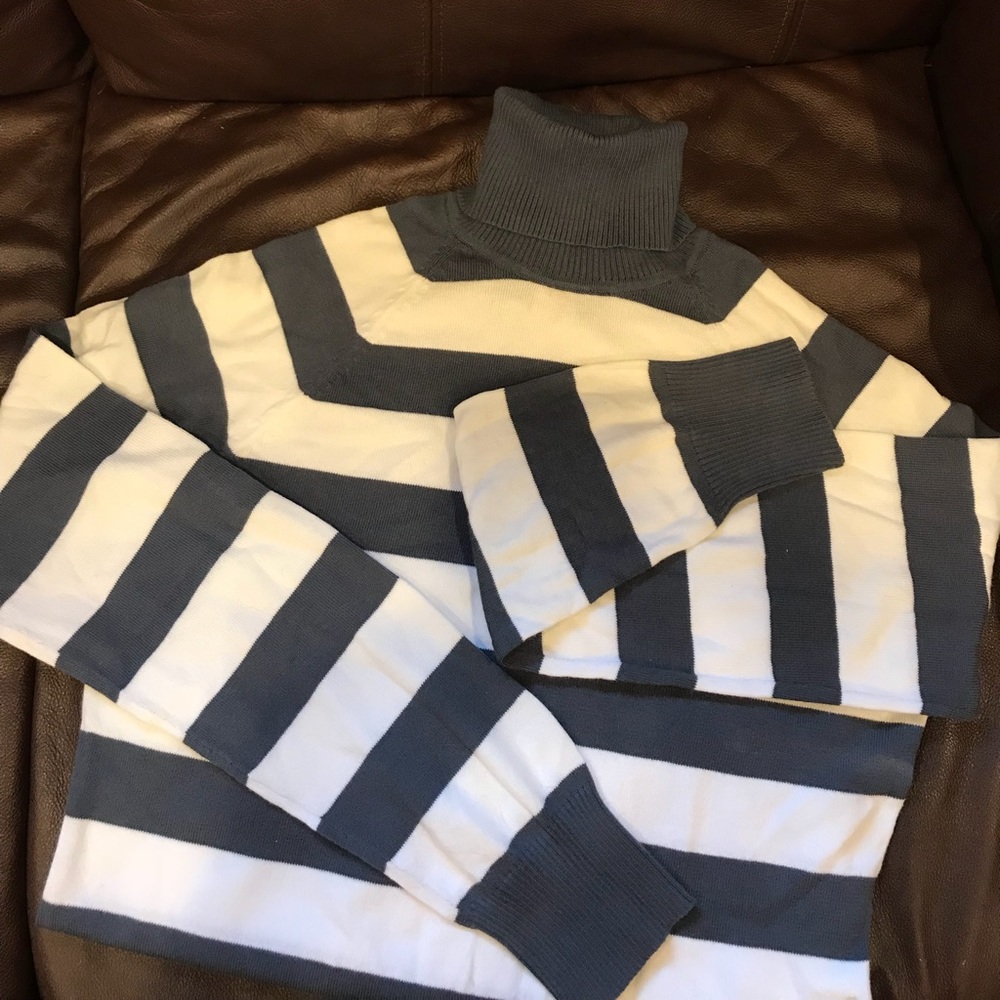 GAP Blue and White Striped Sweater